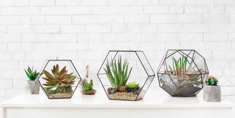 green-decor-concept-39DM8YP.jpg